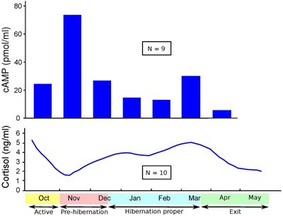 Downregulation of cyclic adenosine monophosphate levels in leukocytes of hibernating captive black bears is similar to reported cyclic adenosine monophosphate findings in major depressive disorder